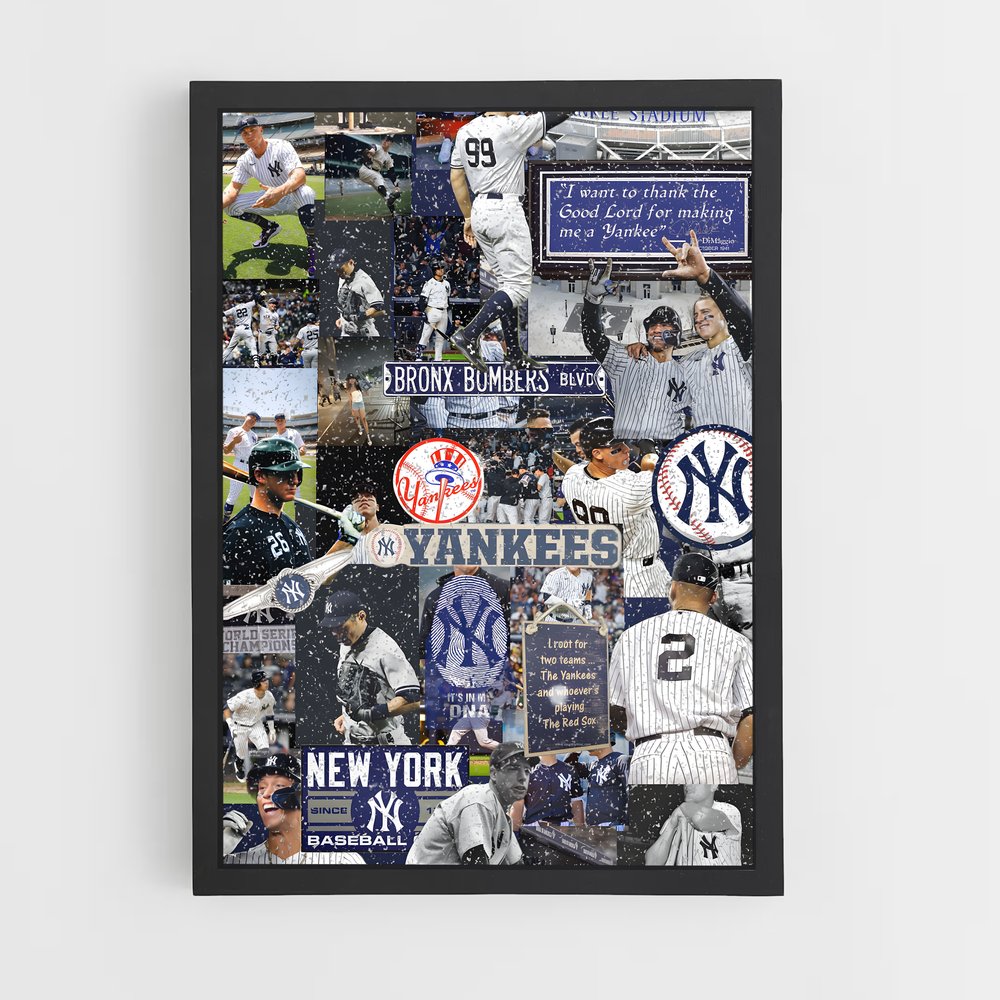 Poster La Passion du Baseball (vue 2)